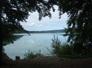 DSCF3417