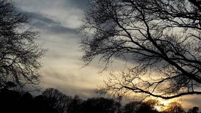 Ensbury Park5