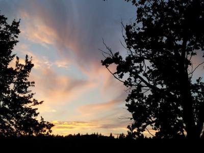 Evening sky