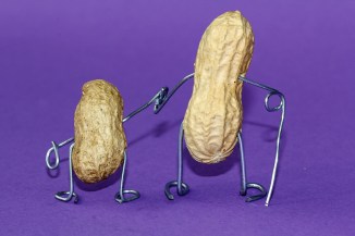 peanut-660301_1280