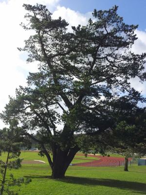 Sports centre 2