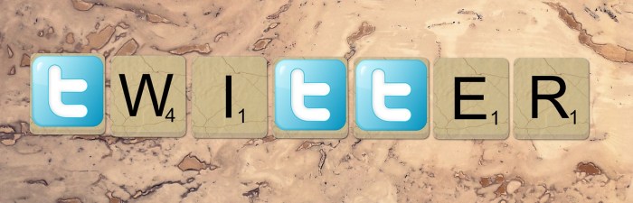 twitter-1007075_1280