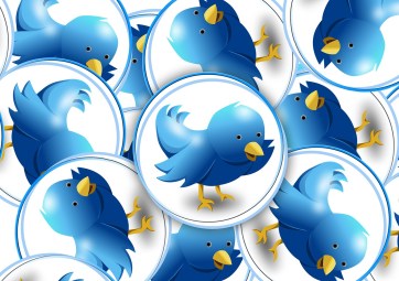 twitter-848528_1280
