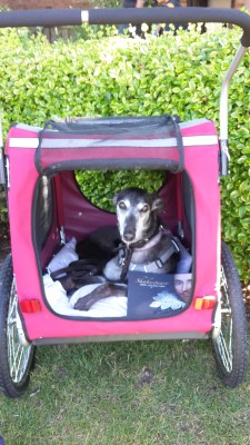 lara-pram